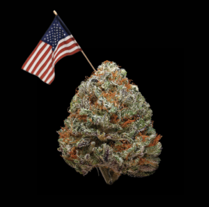 a marijuana nug with an american flag sticking out of it